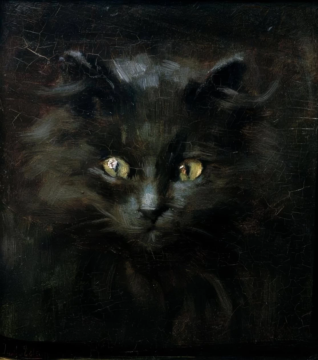 Ritratto di un gatto